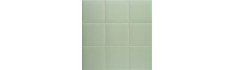 Technical Soft Basil 20x20 (box of 1 m²)