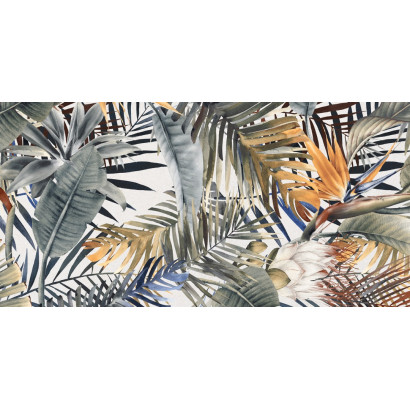 Decor Gala 60x120 (box of...