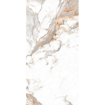 Pegaso Polished 59x119 (box...