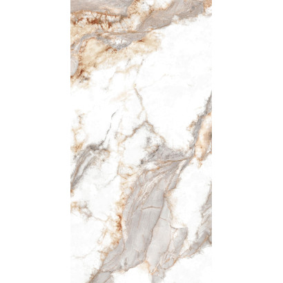 Pegaso Polished 59x119 (box of 1,39 m2)
