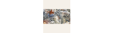 Decor Gala 60x120 (box of 1,43 m2)