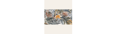 Decor Gala 60x120 (box of 1,43 m2)