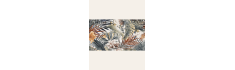 Decor Gala 60x120 (box of 1,43 m2)
