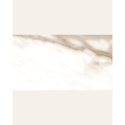 Calacatta Golden Matte 60x120 (box of 1,43 m2)