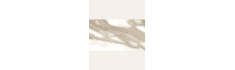 Calacatta Golden Matte 60x120 (box of 1,43 m2)