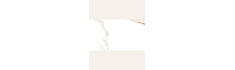 Dana Gold Glossy 60x120 (box of 1,44 m2)