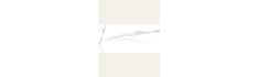 Nilo Blanco Polished 60x120 (box of 1,44 m2)