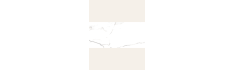 Nilo Blanco Polished 60x120 (box of 1,44 m2)