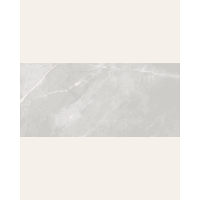 copy of Magda Gris Polished 60x120 (box of 1,44 m2)