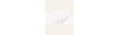 Palatina Polished 60x120 (box of 1,44 m2)