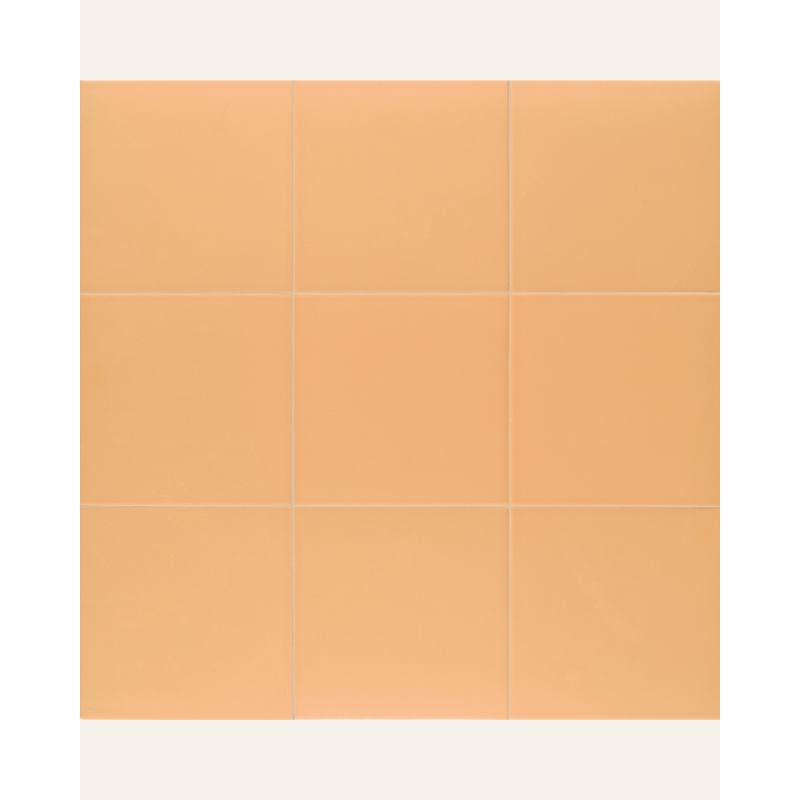 Technical Soft Tangerine 20x20 (box of 1 m²)