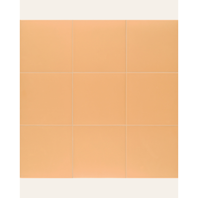 Technical Soft Tangerine 20x20 (box of 1 m²)