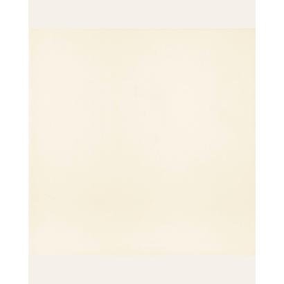 Victorian Blanco 20x20 (box...