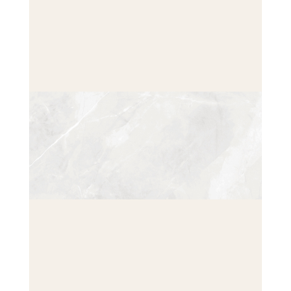 copy of Magda Gris Polished 60x120 (box of 1,44 m2)