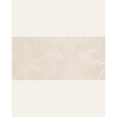 copy of Magda Gris Polished 60x120 (box of 1,44 m2)