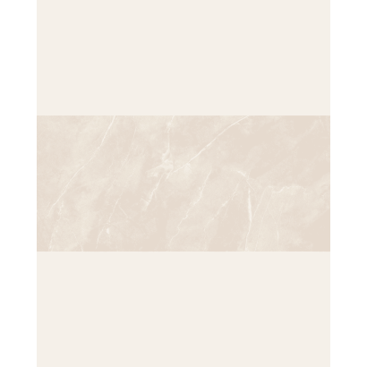 copy of Magda Gris Polished 60x120 (box of 1,44 m2)