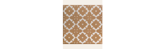 copy of Infusion Amparo 20x20 (box of 1 m²)