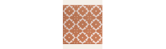 copy of Infusion Amparo 20x20 (box of 1 m²)