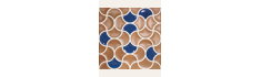 copy of Infusion Amparo 20x20 (box of 1 m²)