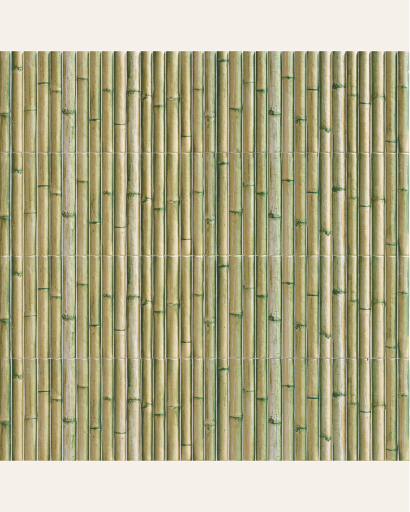 Série Bamboo Green 15x30...