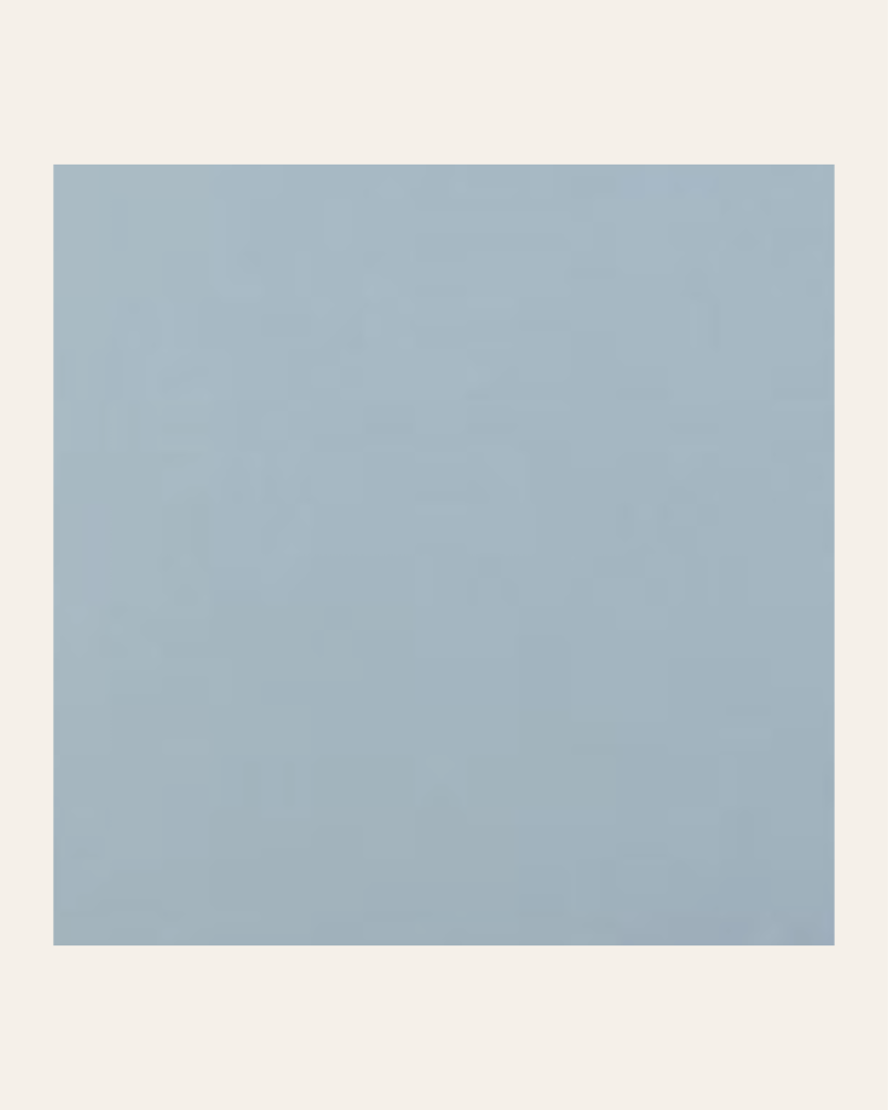 copy of Bronx negro 15x15...