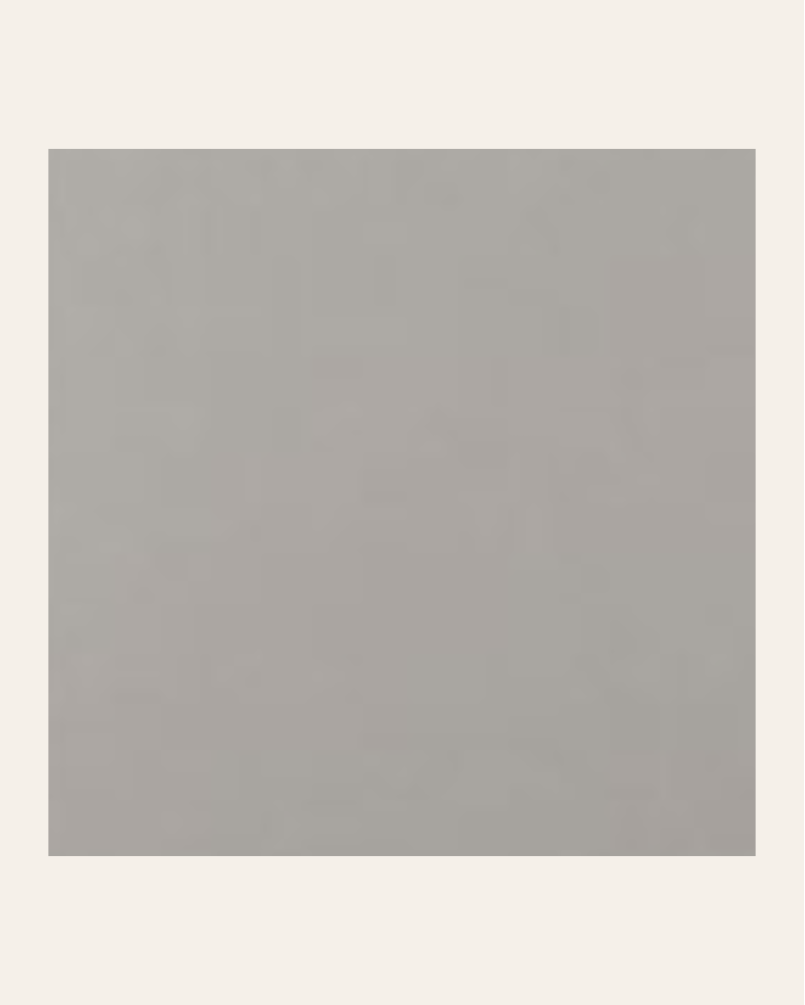 copy of Bronx negro 15x15...