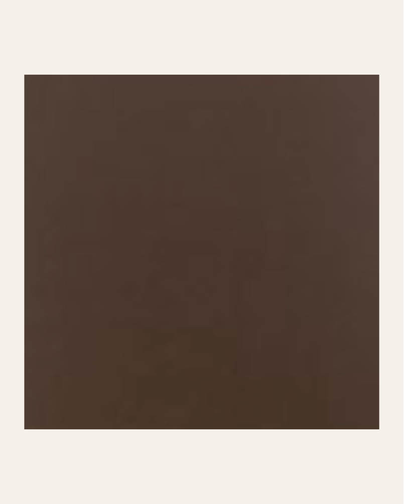 copy of Bronx negro 15x15...