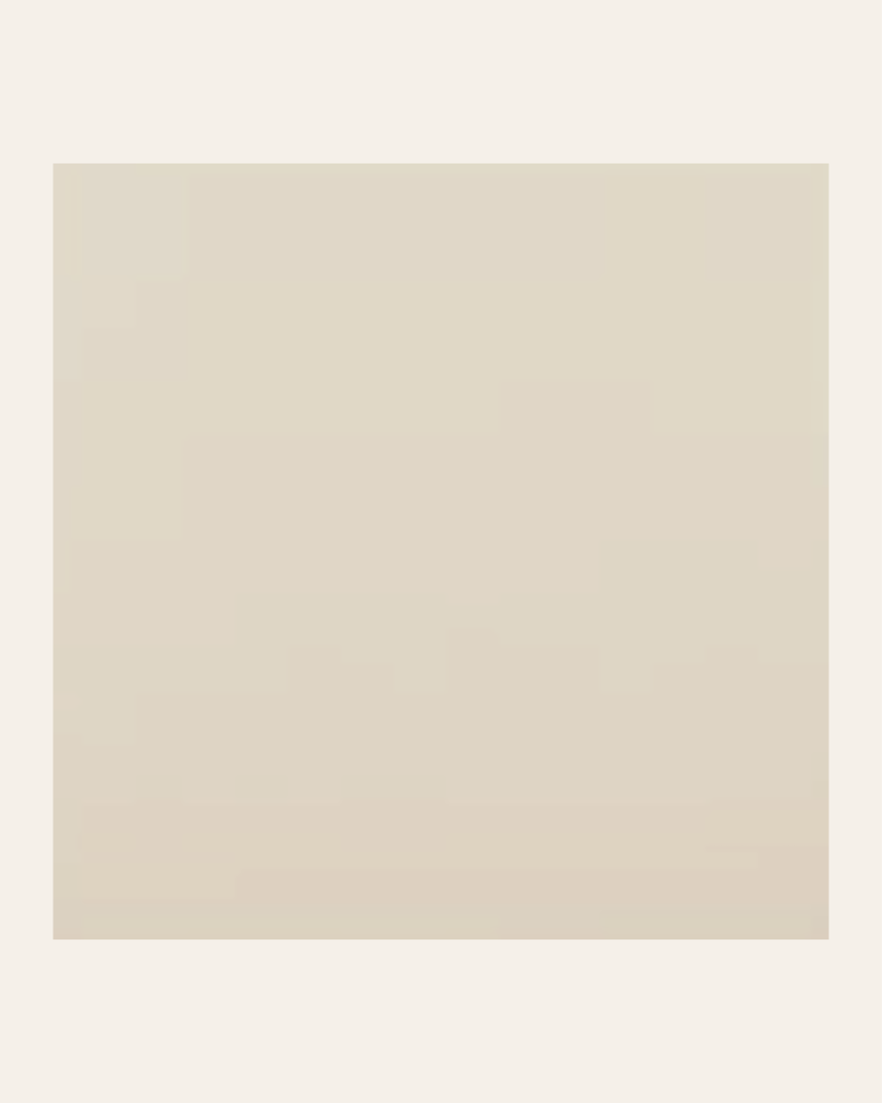 copy of Bronx negro 15x15...