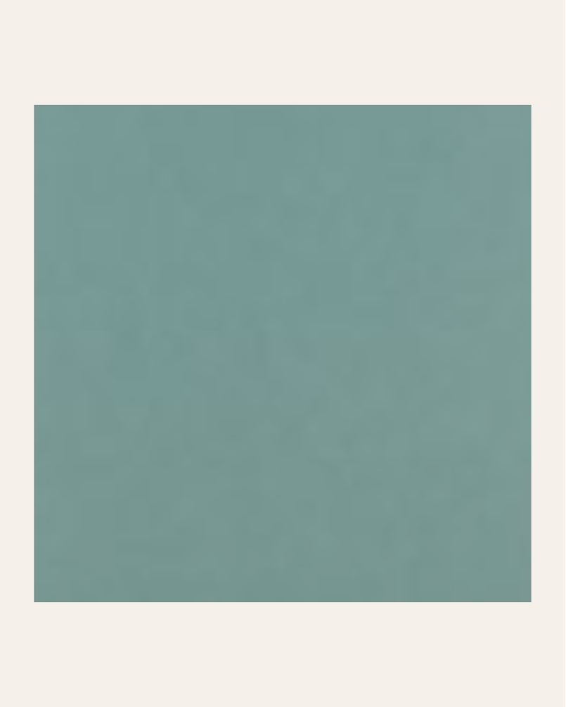 copy of Bronx negro 15x15...