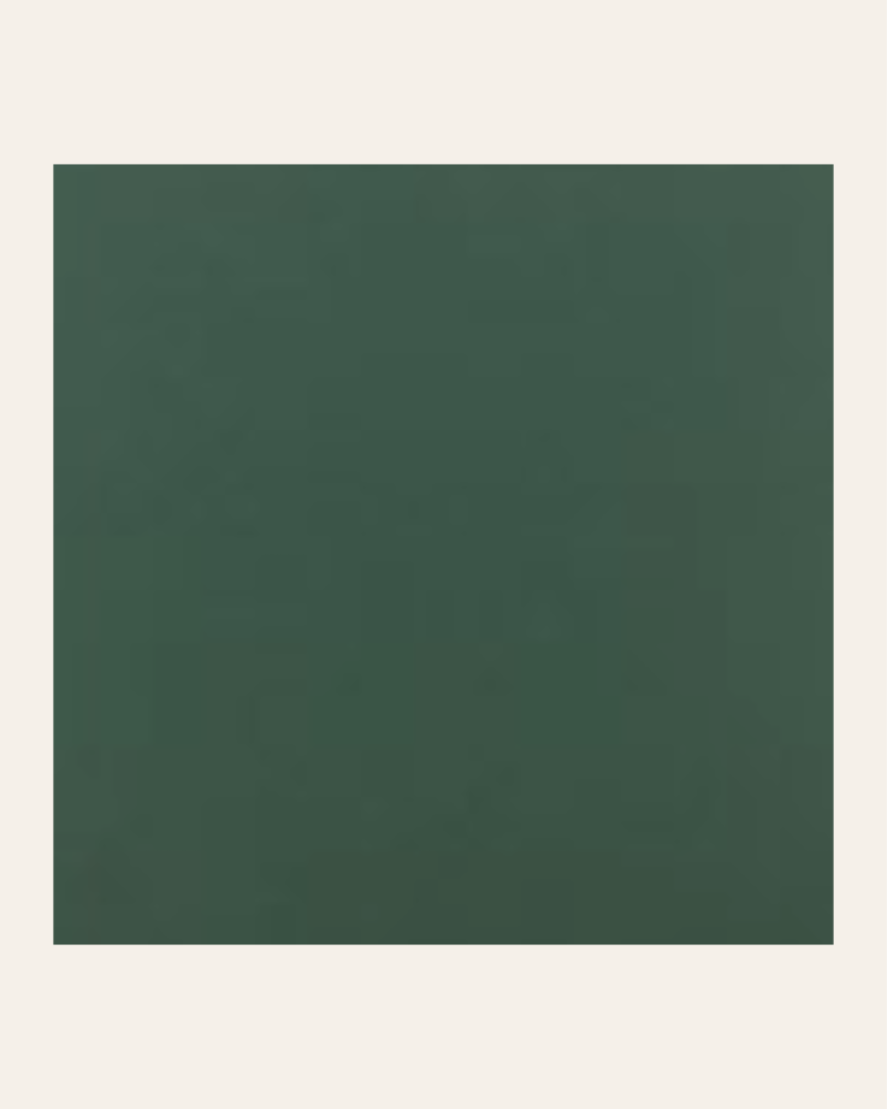 copy of Bronx negro 15x15...