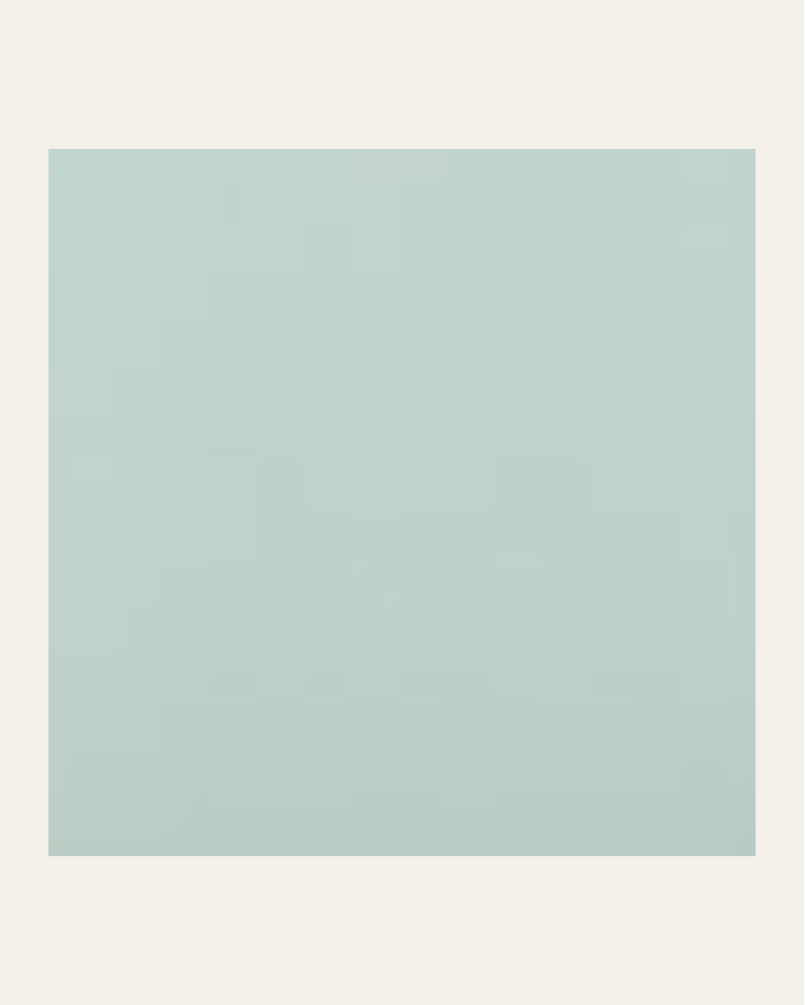 copy of Bronx negro 15x15...
