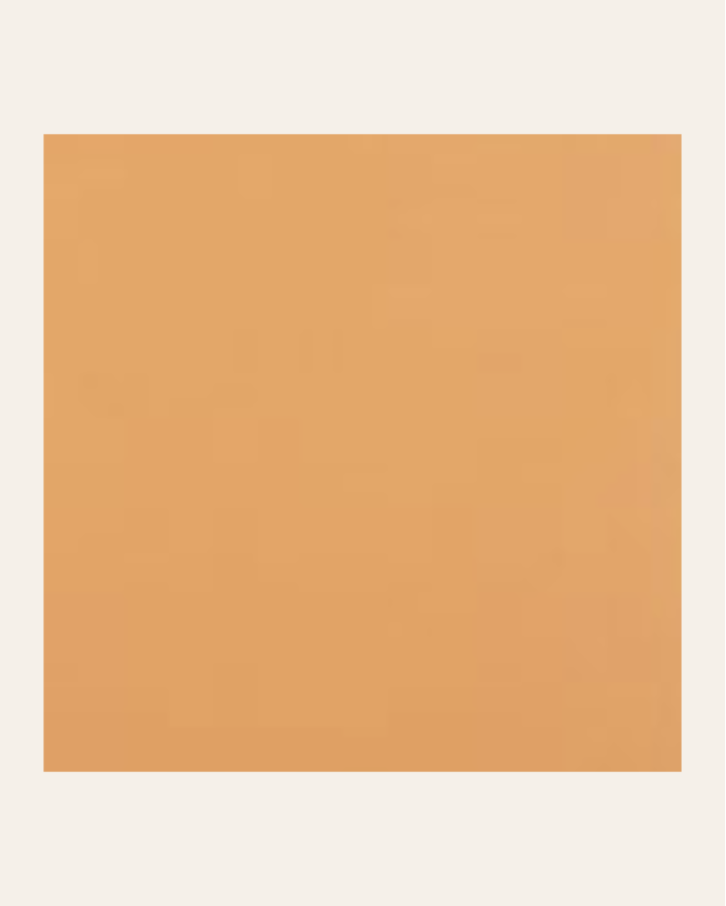 copy of Bronx negro 15x15...