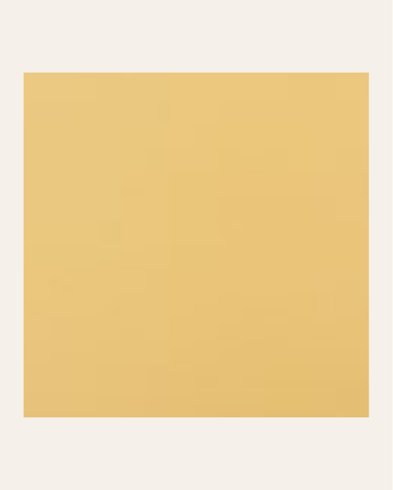 copy of Bronx negro 15x15...