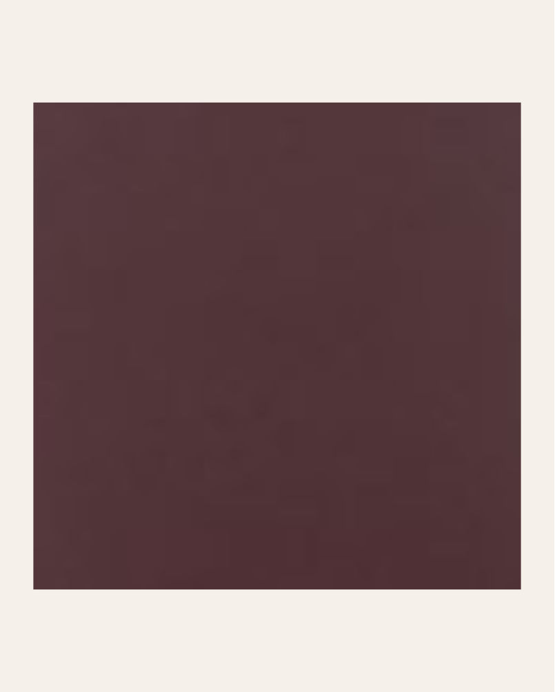 copy of Bronx negro 15x15...